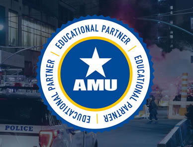 American Military University