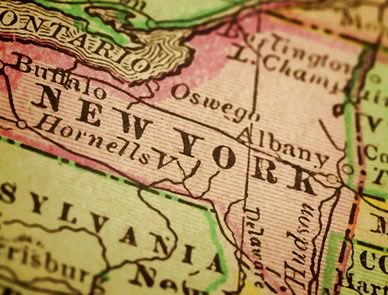 115 MyCAA Schools in New York